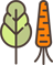 Organic Solution